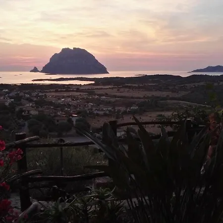 Sardegna